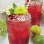 Hibiscus-Kentucky-Smash-6-600