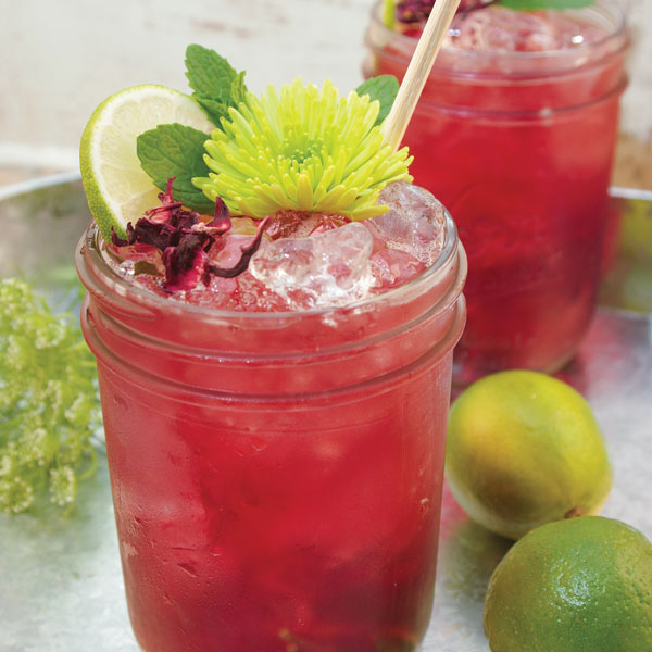 Hibiscus Kentucky Smash