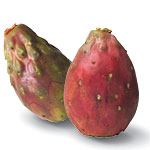 prickly-pear2