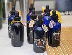 PPNVElementalSpiritsproductshot