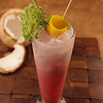 hibiscus-coconut-agua-fresca