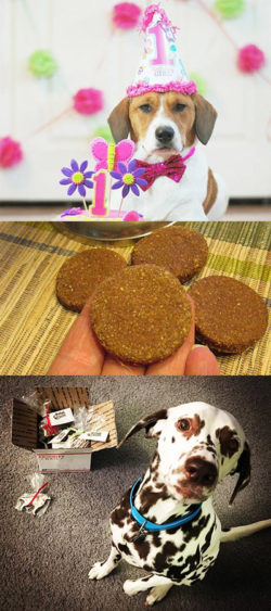 melanie-stracko-collage