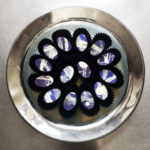 KarenUrbanekPassione-300