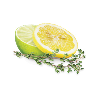 Thyme & Citrus blend