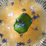 The-Passionate-One-edit-300