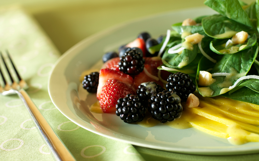 National Protein Day