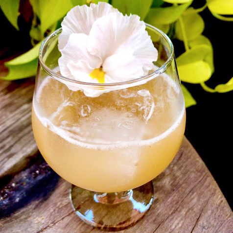 Instagram-Worthy Cocktail by Audrey Claudin