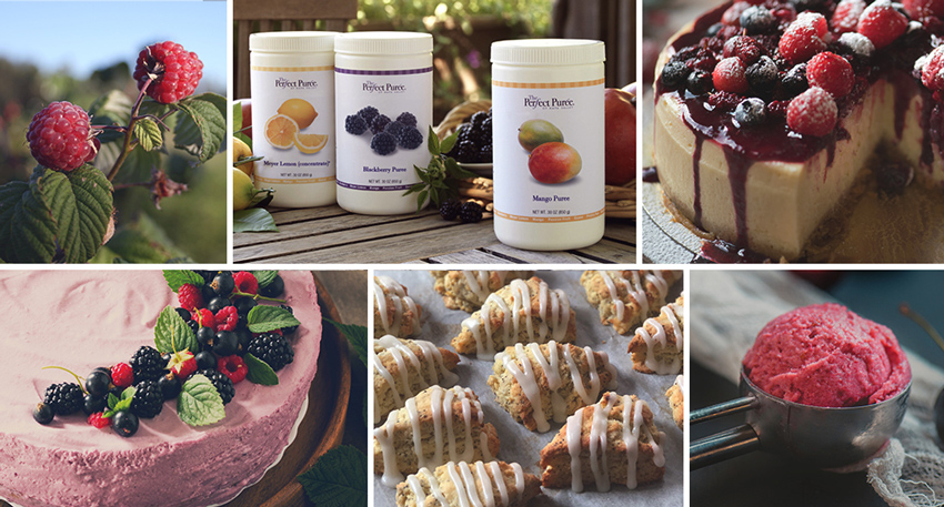 Floral & Botanical Cocktails