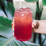 mika-matin-bIG6LAWRA68-unsplash-pricklypear-2-600